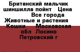 Британский мальчик шиншилла-пойнт › Цена ­ 5 000 - Все города Животные и растения » Кошки   . Московская обл.,Лосино-Петровский г.